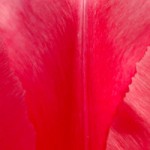 Aboutサンクチュアリー